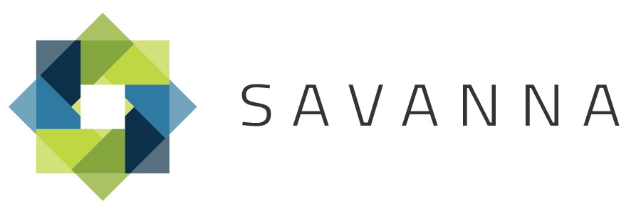 Application Developer